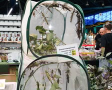 <p>Targi ZooEgzotyka w Hali Orbita w niedzielę 21 września 2025</p>