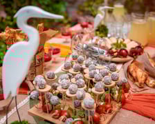 Dieta wegetariańska w kolejnych wrocławskich placówkach - konferencja prasowa 30.09.2025