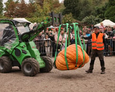 Festiwal Dyni w Ogrodzie Botanicznym 2025