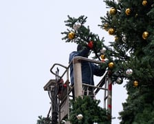 Choinka na Rynku w budowie 18 listopada 2025 roku