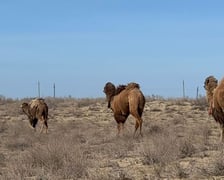 <p>Wyprawa "Z Ziemi Tajskiej do Polski" - Kazachstan</p>