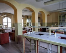 Kliniki na Bujwida, miejsce Survivalu 2026