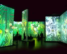 <p>Projekcje obraz&oacute;w mistrz&oacute;w na Mutisensorycznej Wystawie Impresjoniści</p>