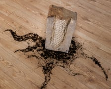 Zdjęcie z wystawy "Świątynia Baśni" w galerii BWA Wrocław Główny