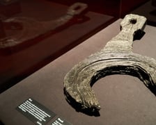 <p>Wystawa&nbsp;&bdquo;TITANIC: The Artifact Exhibition&rdquo; do 31 lipca w Hali IASE</p>