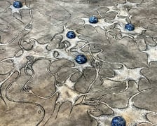 Neuroornament Anity Sieradzkiej z ASP Wrocław