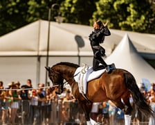 <p>Bastion na pokazie woltyżerki na Partynicach</p>