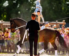 <p class="MsoNormal">Bastion na pokazie woltyżerki na Partynicach</p>