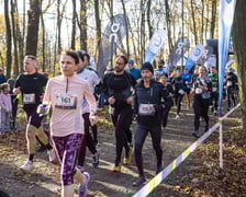 Bieg CITY TRAIL w Lesie Osobowickim we Wrocławiu. Zdjęcia biegaczy