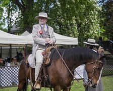 Otwarcie sezonu na Wrocławskim Torze Wyścigów Konnych Partynice 1 maja 2025
