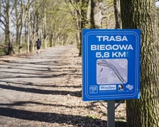 Trasa biegowa wzdłuż Kanału Żeglugowego i Powodziowego między Mostami Chrobrego a Jagiellońskimi