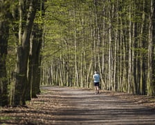 Trasa biegowa wzdłuż Kanału Żeglugowego i Powodziowego między Mostami Chrobrego a Jagiellońskimi