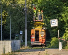 Usuwanie drzewa, które przewróciło się na torowisko i trakcję tramwajową na ul. Kwidzyńskiej - 24 lipca 2026 r.