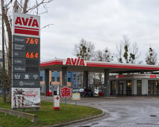<p>Ceny paliwa na stacji Avia przy ul. Gazowej 3 we Wrocławiu:</p>
<ul>
<li>ON - 7,69</li>
<li>95 - 6,64</li>
</ul>