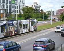 Zielona ulica Legnicka po remoncie torowiska między ulicami Zachodnią a Niedźwiedzią.