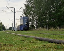 Torowisko wzdłuż ul. Legnickiej z każdym dniem staje się bardziej zielone. Kładzione są maty rozchodnikowe.