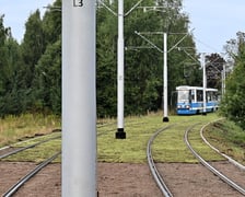 Torowisko wzdłuż ul. Legnickiej z każdym dniem staje się bardziej zielone. Kładzione są maty rozchodnikowe.