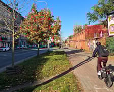 Ulica Trzebnicka. Projekt budowy drogi rowerowej obejmie odcinek od wiaduktu do mostów Trzebnickich