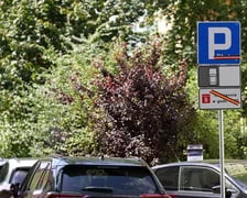 Na Kępie Mieszczańskiej, m.in. na ul. księcia Witolda, od poniedziałku 4 sierpnia trzeba będzie zapłacić za parkowanie