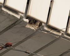 <p>Uszkodzona estakada i poranne utrudnienia na pl. Społecznym - 16 września</p>