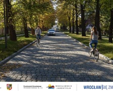 Wizualizacja ulicy Pawiej po remoncie