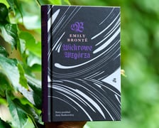 <p class="MsoNormal">Emily Bront&euml;, &bdquo;Wichrowe wzg&oacute;rza&rdquo;, przełożyła Anna Bańkowska, Wydawnictwo W.A.B.</p>