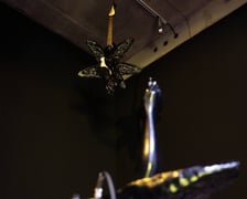 Przed otwarciem wystawy „Gorączka gotyku” w Studio BWA Wrocław, 24 lipca 2026