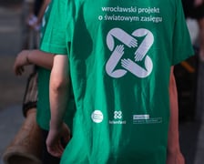 Parada i występy uczestników projektu Lelenfant w centrum Wrocławia- 24 lipca 2026 r.