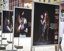 Plansze „Z miłości do koni...” na ulicy Świdnickiej