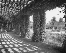 Wrocław, Pergola w Parku Szczytnickim, 1953