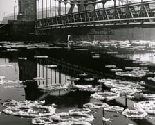 Kry na Odrze przy Moście Grunwaldzkim, 1959