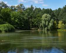 Pałac i park w Leśnicy