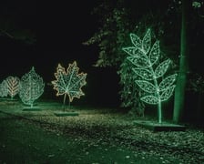 Bajkowy świat czeka na dzieci i dorosłych w Zamku Topacz pod Wrocławiem. Lumina Park zaprasza pod koniec października