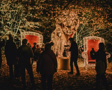 Bajkowy świat czeka na dzieci i dorosłych w Zamku Topacz pod Wrocławiem. Lumina Park zaprasza pod koniec października