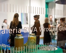 Palmiarnia na Dworcu Głównym - wizualizacja
