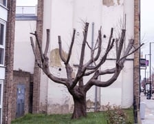 Mural w Finsbury P{ark (Islington) w Londynie