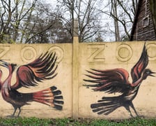 Mural autorstwa Jerzego Wołoszynowicza na ogrodzeniu zoo we Wrocławiu
