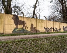 Mural autorstwa Jerzego Wołoszynowicza na ogrodzeniu zoo we Wrocławiu