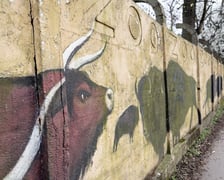 Mural autorstwa Jerzego Wołoszynowicza na ogrodzeniu zoo we Wrocławiu