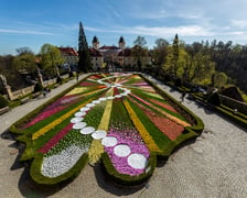 <p>Festiwal Kwiat&oacute;w i Sztuki w Zamku Książ od 1 do 5 maja 2024</p>