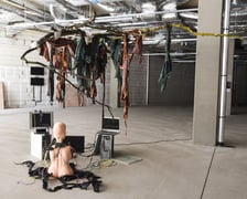 Wystawy na wydarzeniu Bulvary Art Week