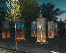 <p>Uroczyste odsłonięcie pomnika Żołnierzy Niezłomnych. Wrocław, 8.05.2024</p>