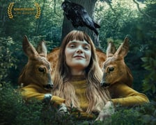 <p>Plakat z filmu "Simona Kossak" z Sandrą Drzymalską w tytułowej roli</p>