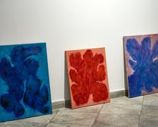 Zdjęcie z montażu wystawy Kosmatość Sylwii Muchy w Mia Art Gallery
