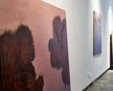 Zdjęcie z montażu wystawy Kosmatość Sylwii Muchy w Mia Art Gallery