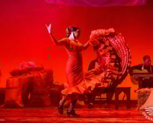 Barcelona Flamenco Ballet, Carmen