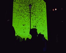 <p>Pierwszy dzień Kinomurala 2025, projekcje w piątek 19 września</p>