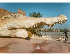 <p>Jedna z prac, jaką będzie można zobaczyć podczas festiwalu Z bliska</p>