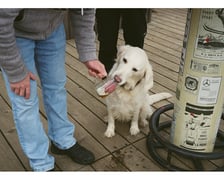 <p>Jedna z fotografii z pierwszego albumu kolektywu fotograficznego kolektywu &bdquo;Z bliska&rdquo;</p>