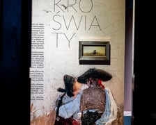 <p>Prace, jakie zobaczymy na wystawie &bdquo;Mikroświaty&rdquo; w Muzeum Narodowym do 22 marca 2026</p>
